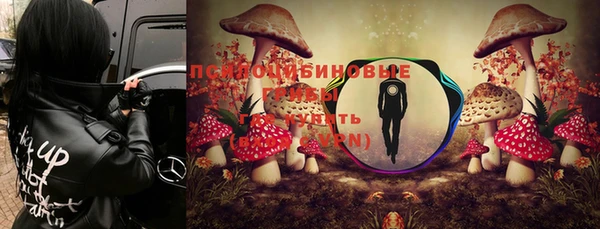 а пвп мука Нея