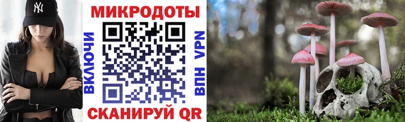 Галлюциногенные грибы мицелий  Купить где  Мосальск 